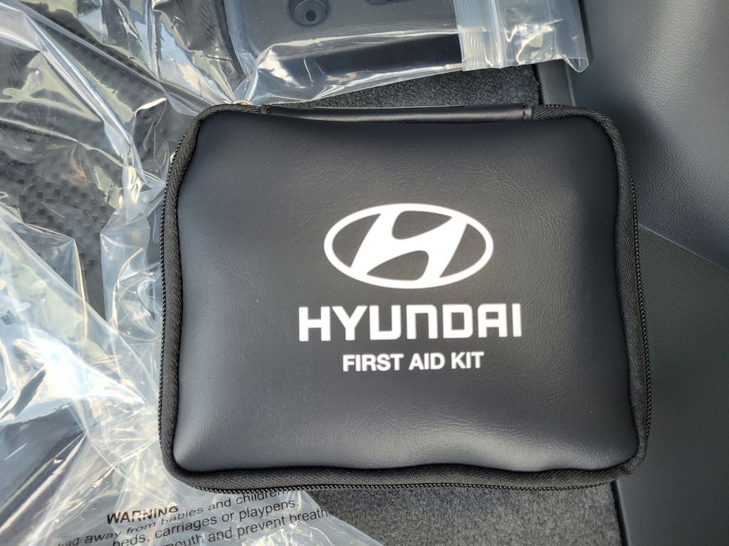 2025 Hyundai IONIQ 5 SEL