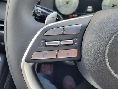 2025 Hyundai PALISADE Calligraphy AWD