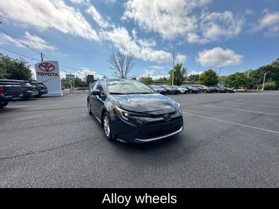 2023 Toyota Corolla Hybrid XLE